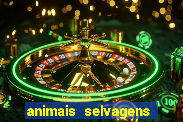 animais selvagens fotos e nomes